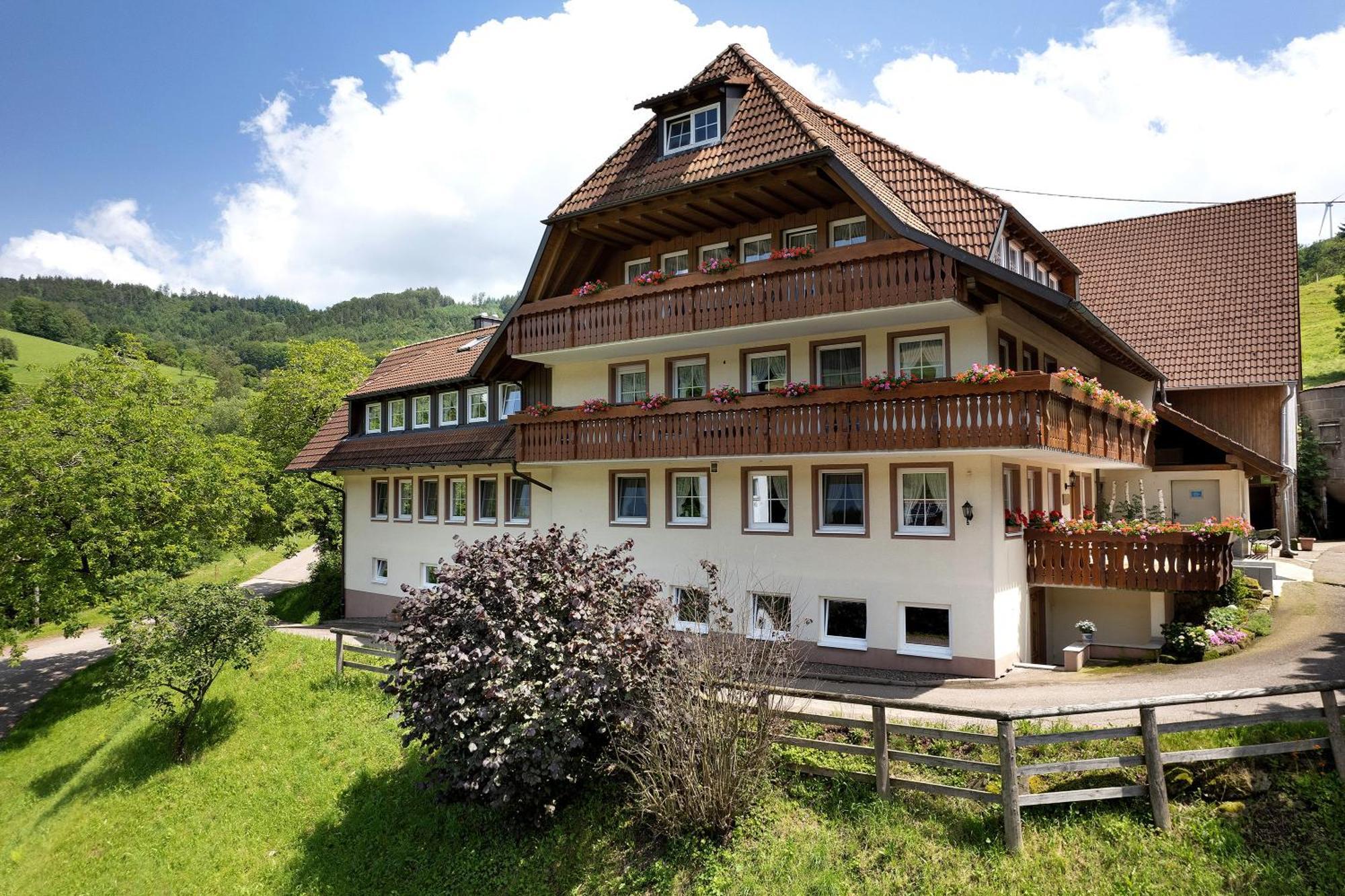 Danielenhof Apartment Freiamt Exterior foto